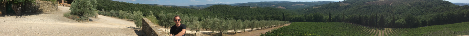 Vigneto - Firenze, Italia